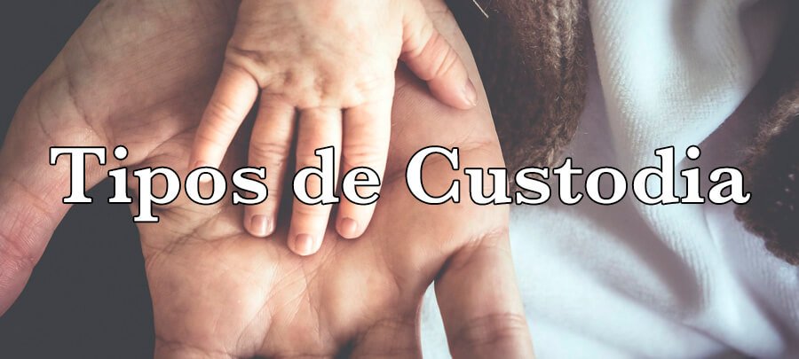 Tipos de custodia