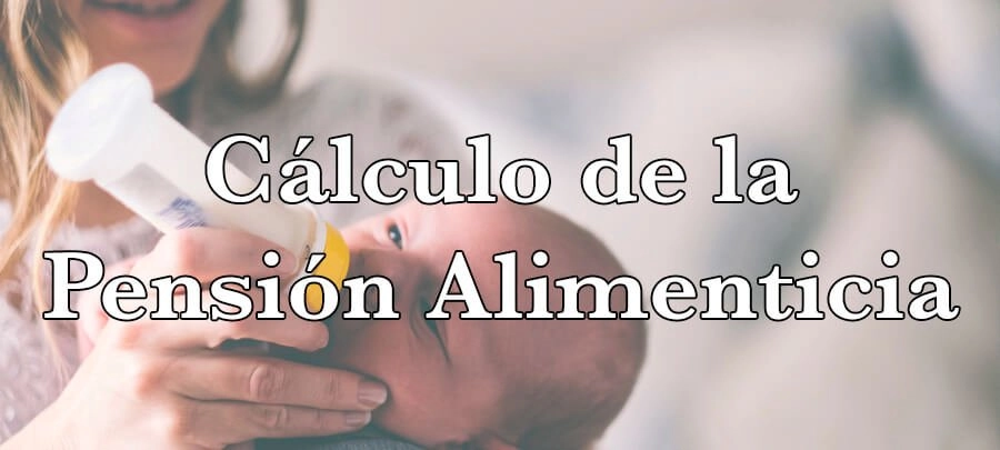 Cálculo pensión alimenticia
